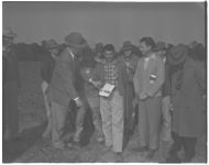 Land judging