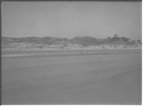 Beach at Jekyll Island