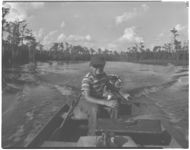 Swamp scenes