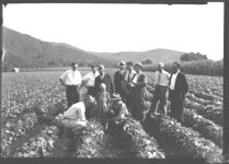 Truck growing scenes in Union and Rabun Counties