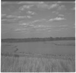 Morgan County pond