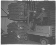 Seed storage
