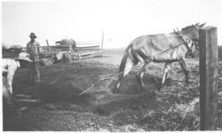 Trench silo