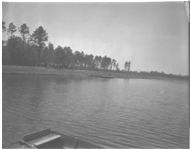 Lake scene