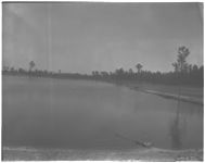 Lake scene