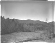 Land judging (4-H)