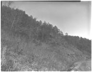 Land judging (4-H)