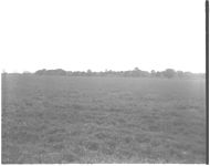 Land judging (4-H)