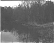 Land judging (4-H)