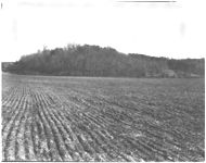 Classes of land to be used in 4-H land judging