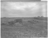 4-H land judging