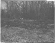 4-H land judging