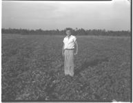 Sweet Potato Show, Macon State Fair, 1946. Also, Rabun Harrell, Johnson County, winner of Potato Show