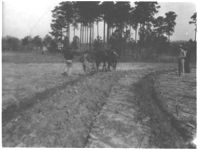 Terracing school