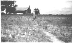 Terracing and soil conservation