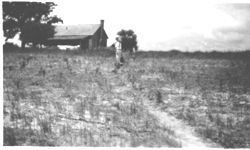 Terracing and soil conservation