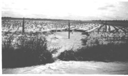 Terracing and soil conservation