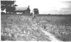 Terracing and soil conservation
