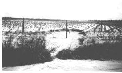 Terracing and soil conservation