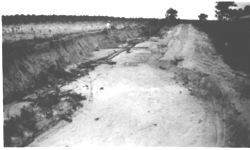 Terracing and soil conservation