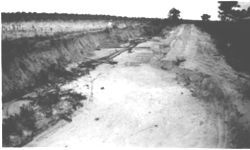 Terracing and soil conservation