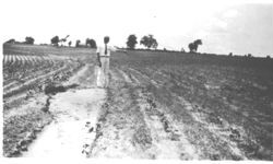 Terracing and soil conservation