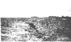 Terracing and soil conservation