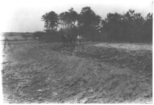 Terracing school
