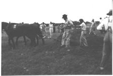 Terracing demonstration