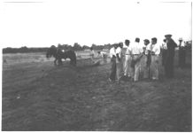 Terracing demonstration