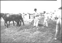 Terracing demonstration