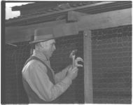 Mr. & Mrs. Alvin Saxon, Farmington, Georgia; Poultry publicity pictures; "Feathering the Nest.