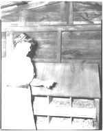 Mr. & Mrs. Alvin Saxon, Farmington, Georgia; Poultry publicity pictures; "Feathering the Nest.