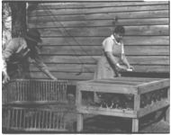Mr. & Mrs. Alvin Saxon, Farmington, Georgia; Poultry publicity pictures; "Feathering the Nest.
