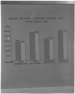 Charts