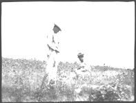 Terracing demonstration