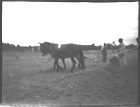 Terracing demonstration