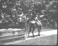 1) Variety 401 tobacco on Mr. J.W. Scarbough's farm (left to right) J.W. Scarbough, J.R. Rutherford, Ned Anderson, Wesley Bailey, Stanley Bailey, and Quincy Griver.??2) Wesley Bailey, Mr. Scarbough, and Earl Bailey in front of Mr. Scarbough's new tobacco barn.??3) Wesley Bailey, Mr. Scarbough, and Earl Bailey in Mr. Scarbough's new tobacco barn.??4) L.A. Everett, Assistance County Agent, and J.W. Scarbough