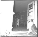 Rabies training session
