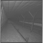 C.M.T. and strip plate.?Milking equipment.?Chicken house.?Growing South program