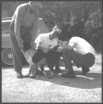 Activities during 1967 North Georgia Rabies Clinic