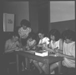 Activities during 1967 North Georgia Rabies Clinic
