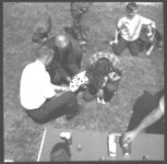 Activity during 1967 Rabies Clinic