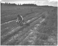 Weed control