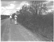Weed control on rights-of-ways in Morgan County