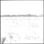 Weed control results GWCS tour-1967- Bulloch, Screven, Candler, Peanuts, Cottton, Corn