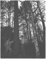 Arboretum committee