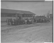 Colored Tractor School