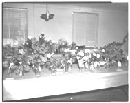 Extension Service Flower Show
