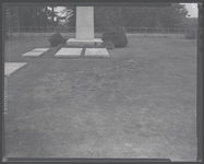 Brown patch on Senator Russel's family cemetary.??Poor growth on young pecan trees in Madison, Georgia